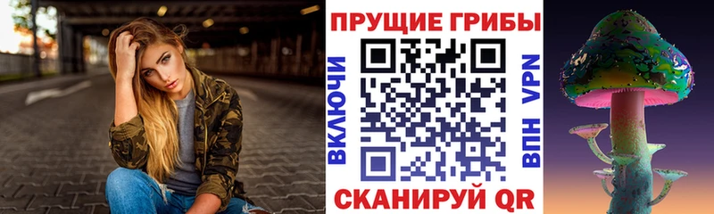 нарко площадка какой сайт Ряжск Галлюциногенные грибы Psilocybine cubensis